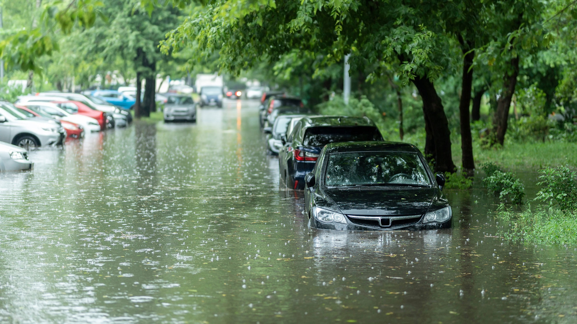 cars parked along a flooded street